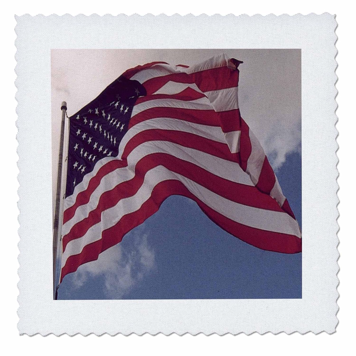 sandy mertens patriotic – 美国国旗 waving in the wind – 方块